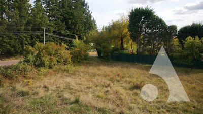 Terrain - 1 117 m²
