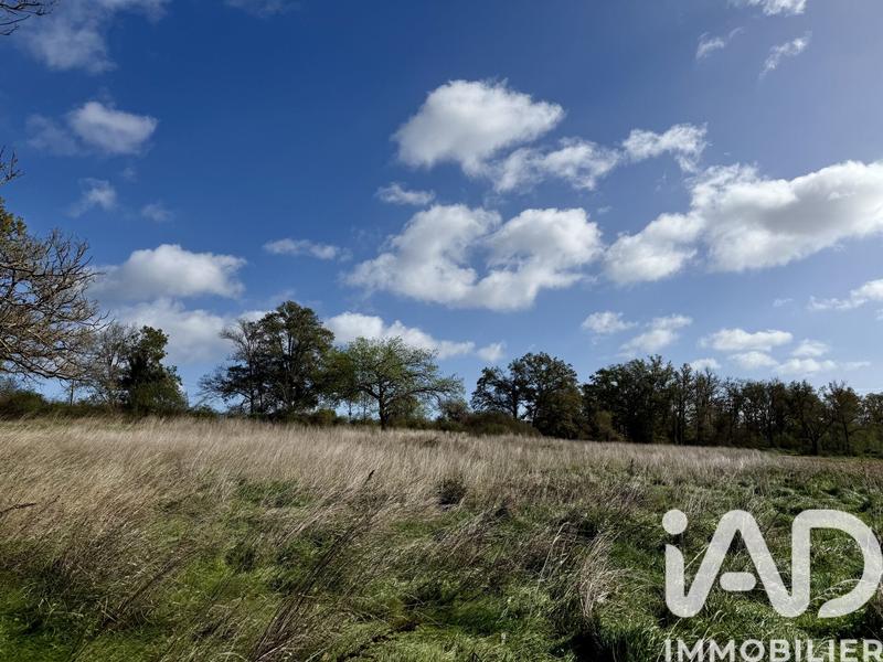 Terrain - 12 710 m²