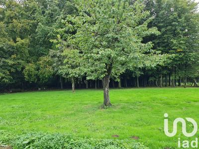 Maison de maîtres - 222 m² - 6 pièces