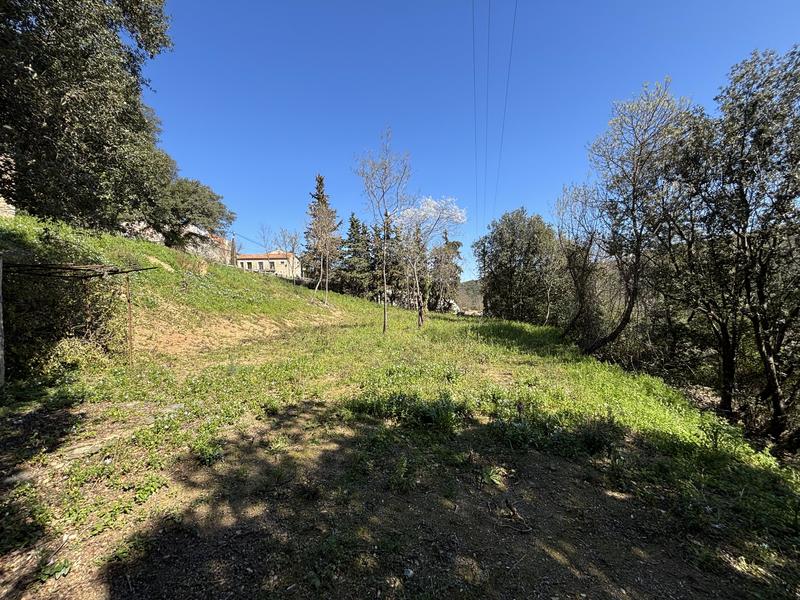 Terrain constructible - 1 330 m²