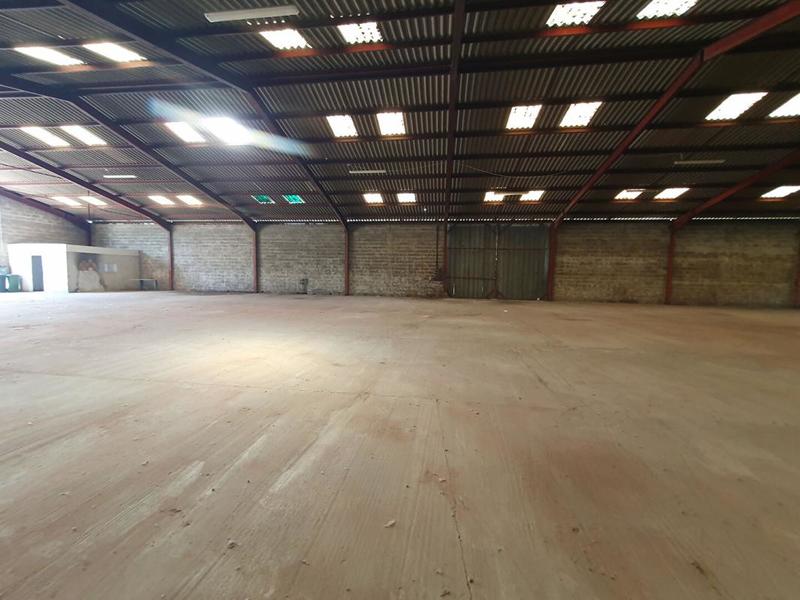 Local d'activité / Entrepôt - 1 000 m²