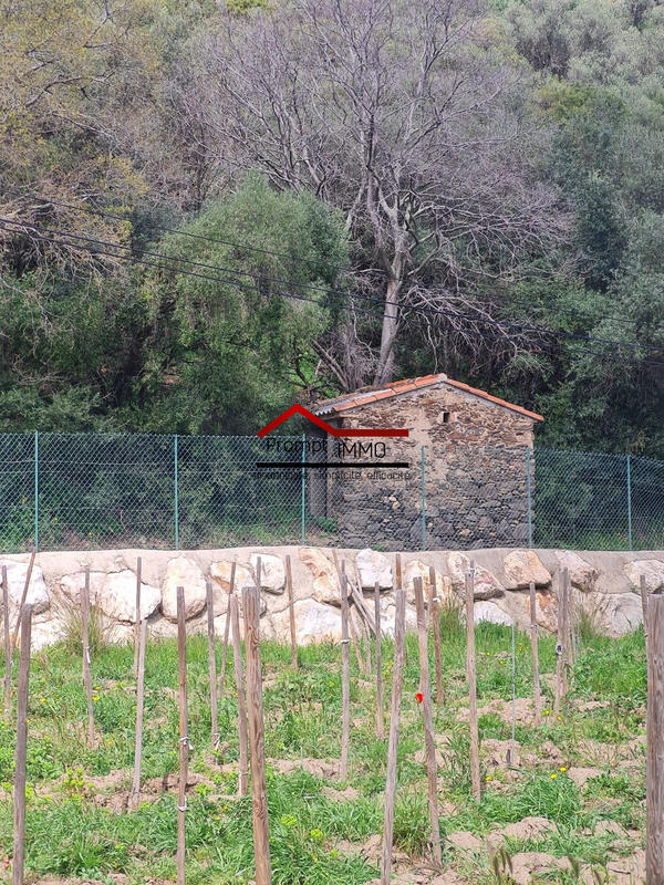 Terrain agricole - 3 982 m²