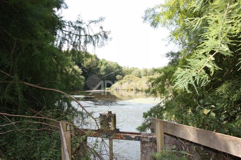 Moulin - 250 m² - 5 pièces