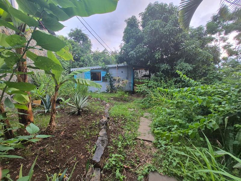 Terrain - 10 386 m²