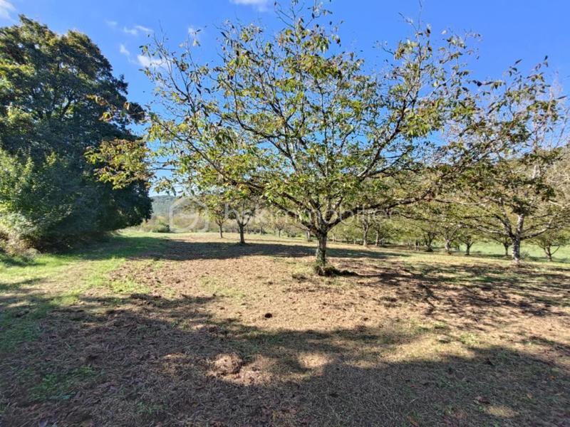 Maison en pierre - 132 m² - 6 pièces