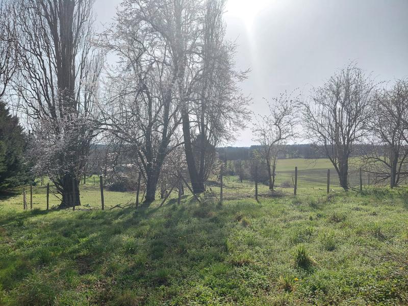 Maison ancienne - 200 m² - 7 pièces