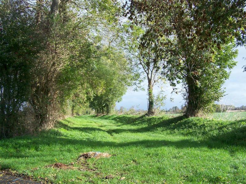 Les randonnées automnales 2025