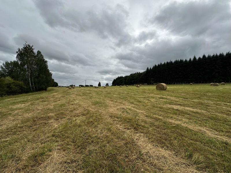 Terrain - 57 753 m²