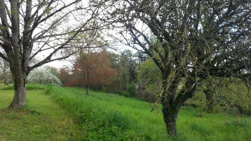 Longère - 240 m² - 7 pièces