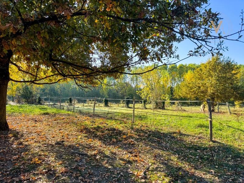 Maison - 273 m² - 7 pièces