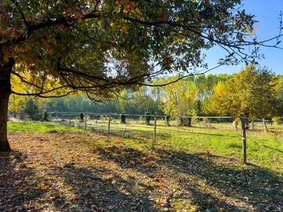 Maison - 273 m² - 7 pièces