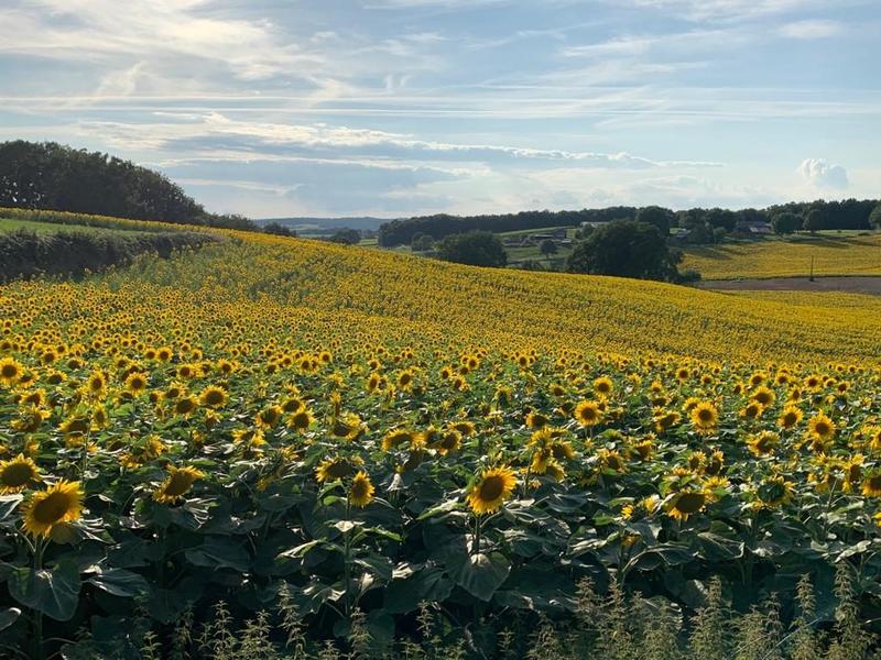 Maison traditionnelle - 195 m² - 6 pièces