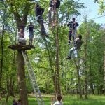 Indian Forest Périgord