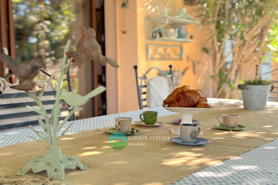 Maison - 300 m² - 7 pièces