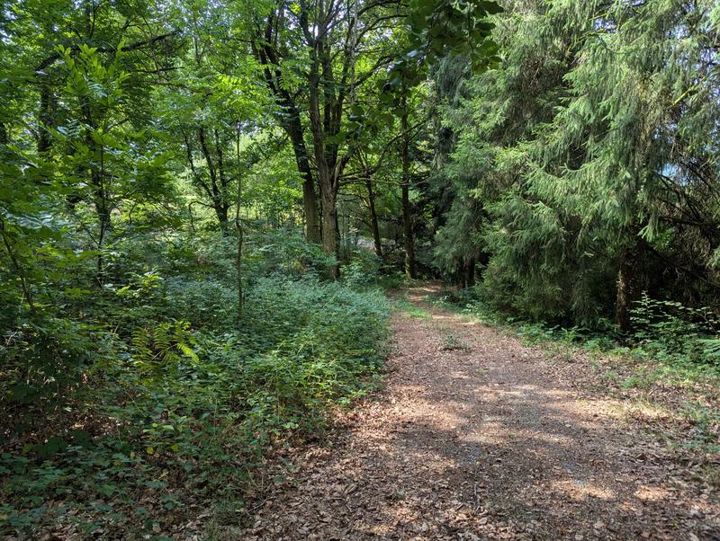 Maison - 174 m² - 5 pièces