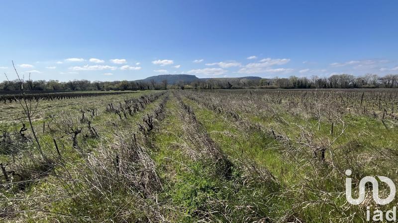 Terrain agricole - 1 035 m²