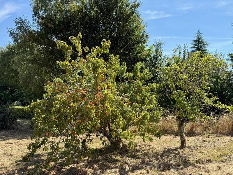 Propriété - 121 m² - 5 pièces