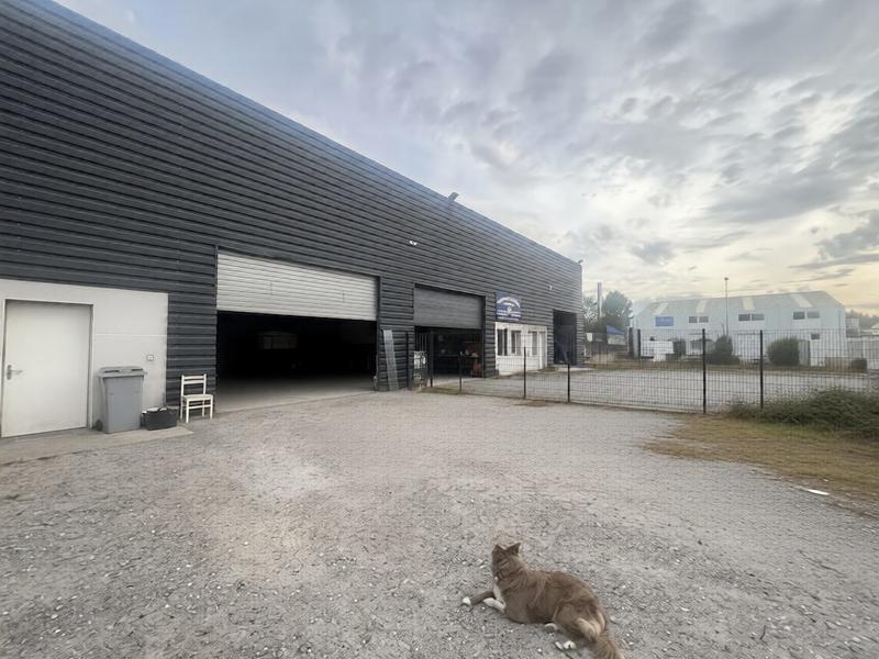 Local d'activités - 788 m² - 6 pièces