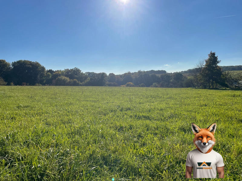 Terrain - 14 528 m²