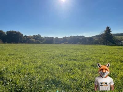 Terrain - 14 528 m²