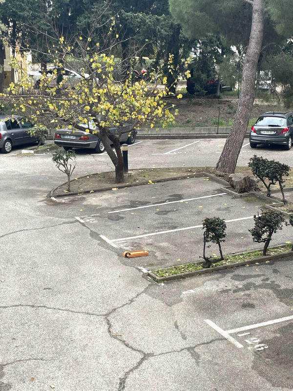 Appartement - 38 m² - 2 pièces