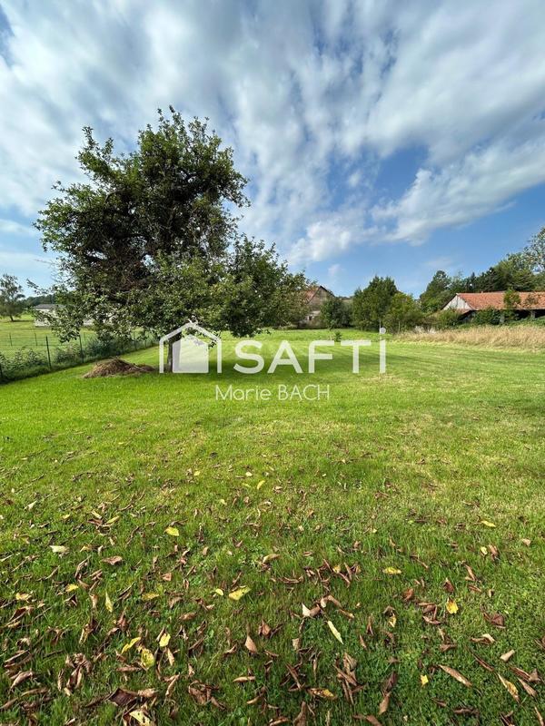 Maison - 300 m² - 8 pièces