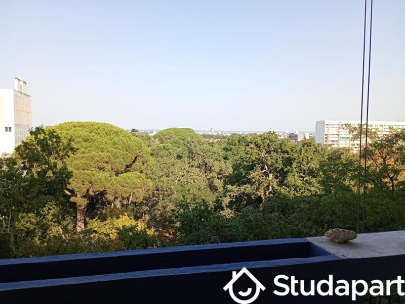 Chambre - 14 m² - 1 pièce