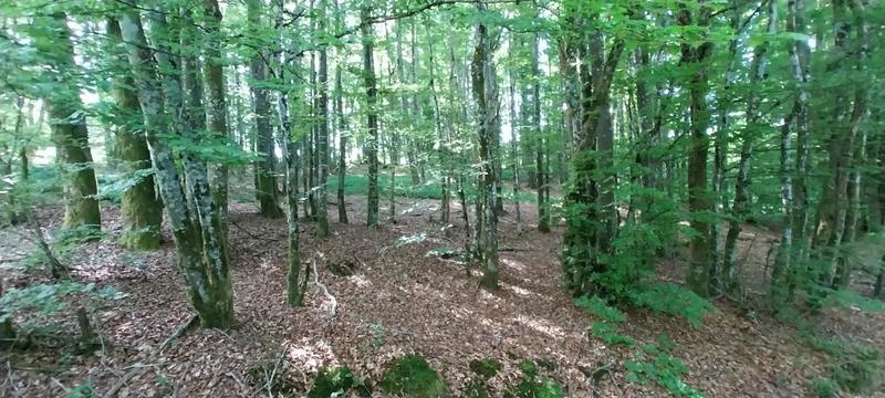 Maison de campagne - 65 m² - 4 pièces