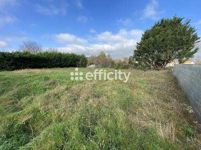 Terrain - 711 m²