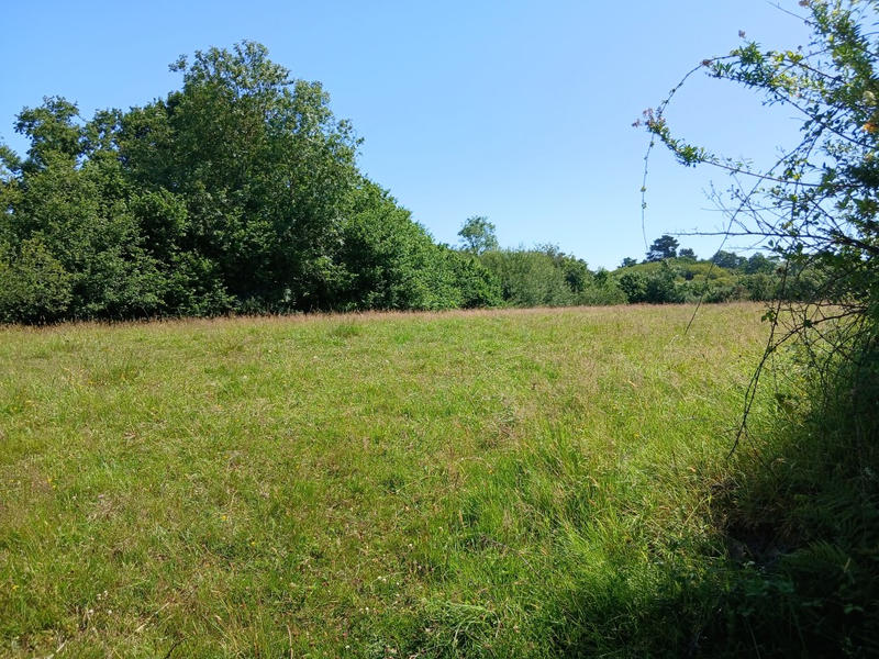 Maison - 26 m² - 2 pièces