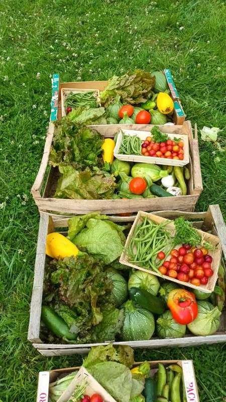 Terrain de loisirs - 200 m²