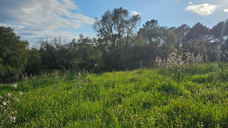 Terrain constructible - 1 200 m²