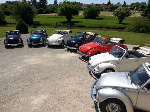 Les Coccinelles en Bourgogne