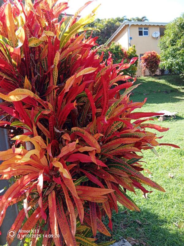 Immeuble - 240 m² - 12 pièces