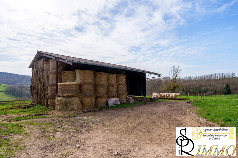 Ferme - 144 m² - 4 pièces