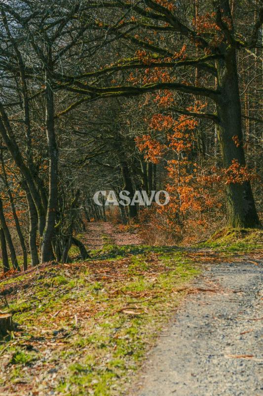 Terrain agricole - 5 167 m²