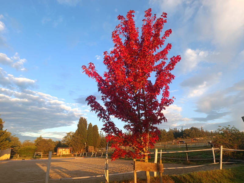 Fonds de commerce - Magasins - 62 459 m²