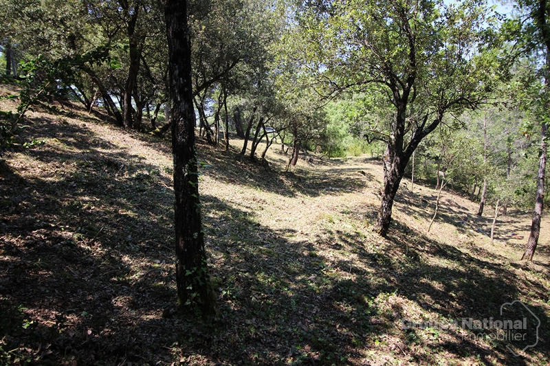 Terrain - 6 300 m²