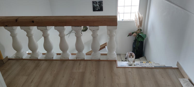 Maison - 163 m² - 6 pièces