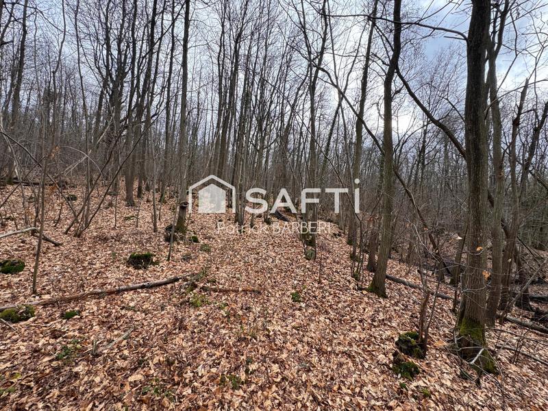 Terrain - 58 000 m²