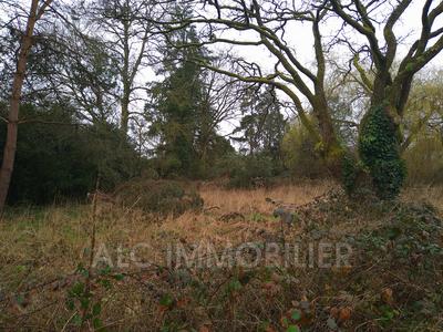 Maison - 124 m² - 3 pièces