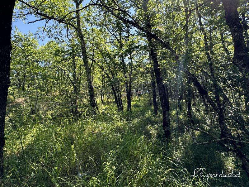 Maison - 132 m² - 8 pièces