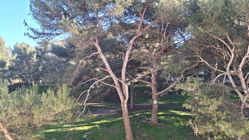 Appartement - 74 m² - 4 pièces