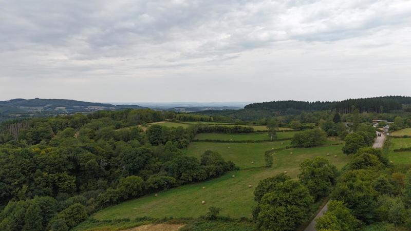 Pavillon - 270 m² - 7 pièces