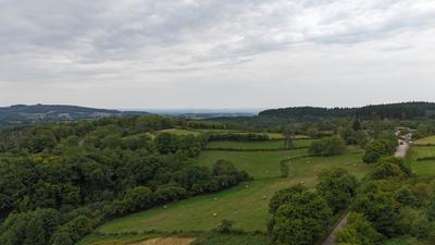 Pavillon - 270 m² - 7 pièces