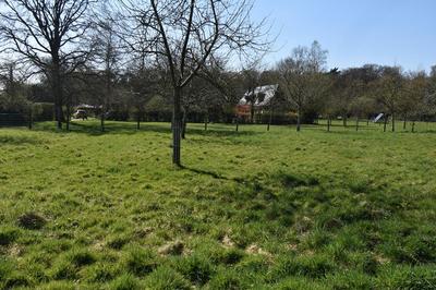 Terrain constructible - 958 m²