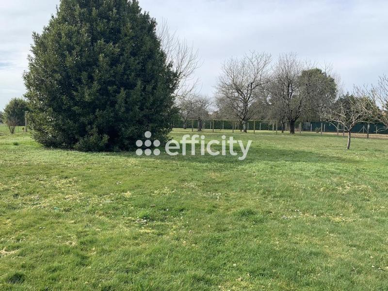 Maison - 145 m² - 5 pièces