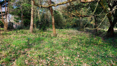 Maison - 330 m² - 14 pièces