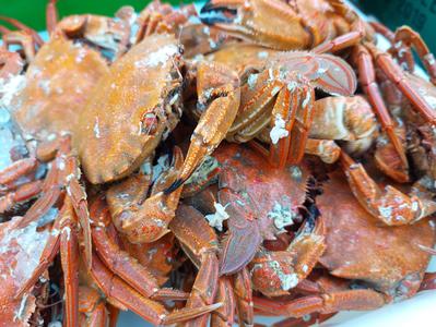 Marché de Ferrières-en-Gâtinais - Vendredi