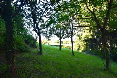 Terrain constructible - 1 245 m²